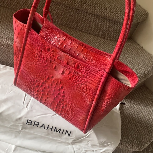 The love of a Bold Brahmin! A gorgeous coral bag, Wow! - Picture 3 of 13